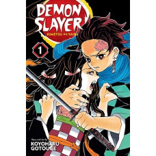DEMON SLAYER 1 KIMETSU NO YAIBA