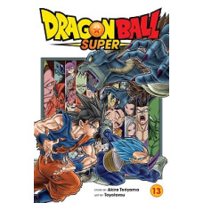 DRAGON BALL SUPER 13 DRAGON BALL SUPER 13