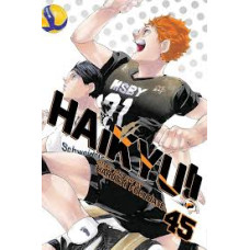 HAIKYU VOL 45