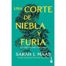 UNA CORTE NIEBLA Y FURIA