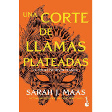 UNA CORTE DE LLAMAS PLATEADAS #5