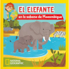 EL ELEFANTE  EN LA SABANA DE MOZAMBIQUE 
