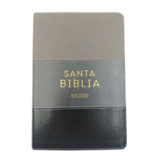 SANTA BIBLIA REINA VALERA 2020          