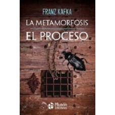 LA METAMORFOSIS EL PROCESO