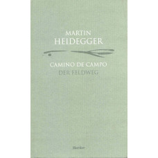 CAMINO DE CAMPO