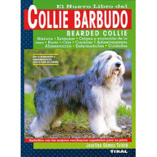 COLLIE BARBUDO                          