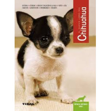 CHIHUAHUA                               