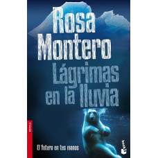 LAGRIMAS EN LA LLUVIA #2 DETECTIVE BRUNA