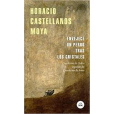 ENVEJECE UN PERRO TRAS LOS CRISTALES