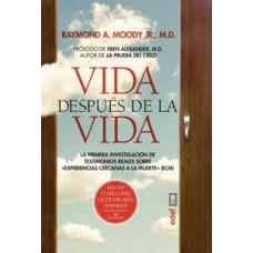 VIDA DESPUES DE LA VIDA