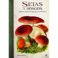 SETAS Y HONGOS TODAS LAS ESPECIES DE HON