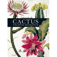 SELECCION DE CACTUS Y PLANTAS SU        