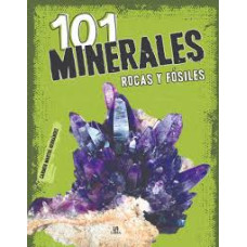 101 MINERALES ROCAS Y FOSILES           