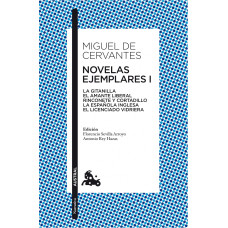 NOVELAS EJEMPLARES 1