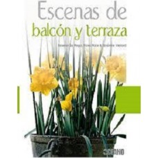 ESCENAS DE BALCON Y TERRAZA