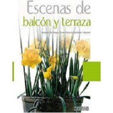 ESCENAS DE BALCON Y TERRAZA