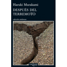 DESPUES DEL TERREMOTO