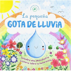 LA PEQUENA GOTA DE LLUVIA