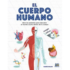 EL CUERPO HUMANO                        