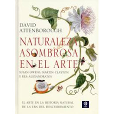 NATURALEZA ASOMBROSA EN EL ARTE