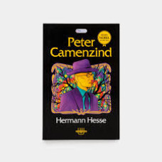 PETER  CAMENZIND                        