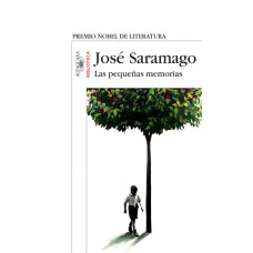 LAS PEQUENAS MEMORIAS