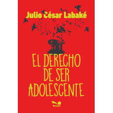 EL DERECHO DE SER ADOLESCENTE