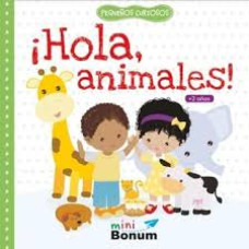 HOLA ANIMLES PEQUEÑOS CURIOSOS HOLA ANIMLES PEQUEÑOS CURIOSOS
