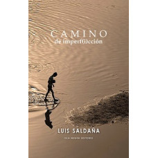 CAMINO DE INPERFICCION