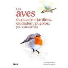 LAS AVES DE NUESTRO JARDINES CIUDADES Y LAS AVES DE NUESTRO JARDINES CIUDADES Y