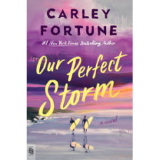 OUR PERFECT STORM                       