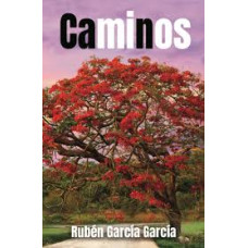 CAMINOS                                 