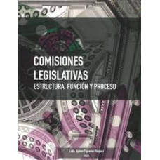 COMISIONES LEGISLATIVAS ESTRUCTURAS     