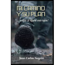 MI CAMINO Y SU PLAN