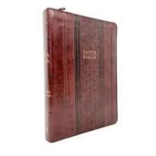 RVR1960 SANTA BIBLIA EDICION LIMITADA   
