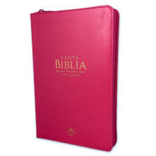 RVR 1960 SANTA BIBLIA LETRA GRANDE