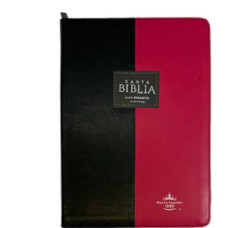 SANTA BIBLIA RV 1960 LETRA GIGANTE 15 PT