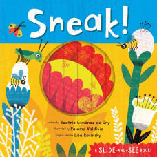 SNEAK A SLIDE AND SEE BOOK SNEAK A SLIDE AND SEE BOOK