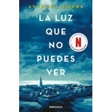 LA LUZ QUE NO PUEDES VER