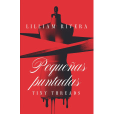 PEQUEÑAS PUNTADAS                       