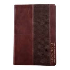 BIBLIA REINA VALERA 1960                