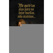 ME QUITE LAS ALAS PARA NO DEJAR HUELLAS 