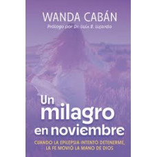 UN MILAGRO EN NOVIEMBRE                 